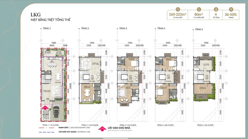 Mặt bằng phân khu liền kề Alluvia City với quy hoạch hợp lý, hạ tầng hoàn chỉnh và không gian xanh rộng rãi tại Hưng Yên